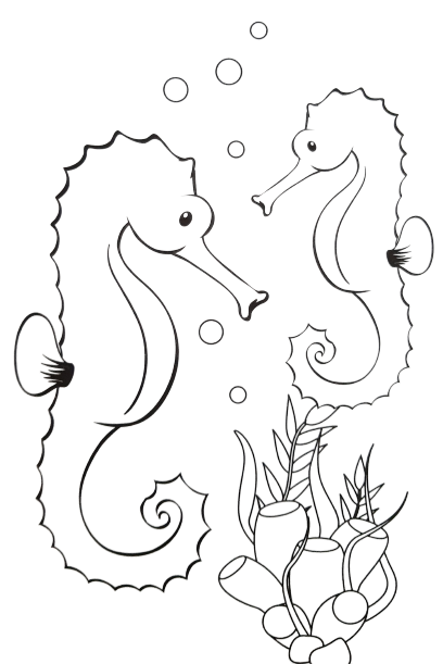 sea-animal2
